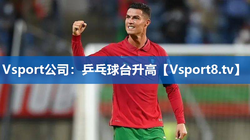 乒乓球台升高